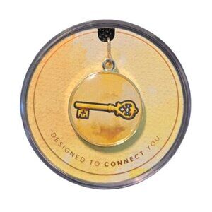 Alex And Ani 2016 Enamel Skeleton Key Pendant 925 Silver Hook Charm NEW